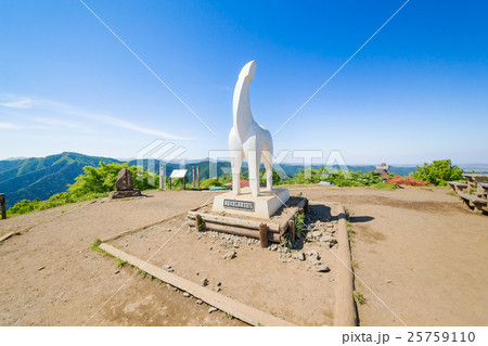 【陣馬山】山頂・白馬の像 25759110