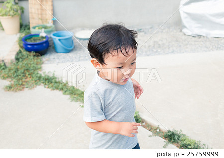 2 years old 25759999