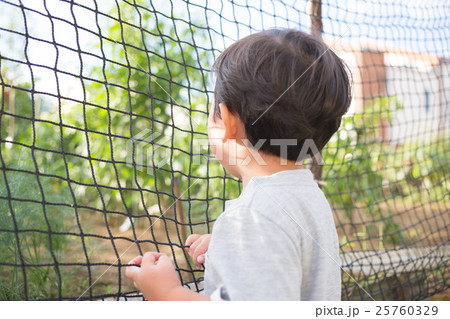 2 years old 2 years old 25760329