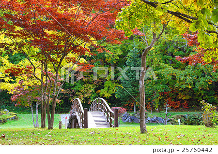 京極ふきだし公園07 25760442
