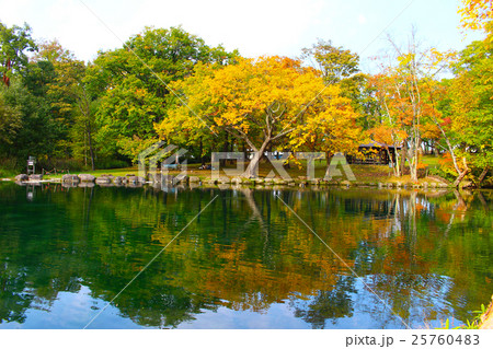 鳥沼公園03 25760483