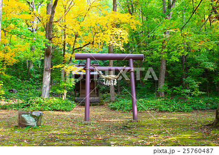 鳥沼公園神社 鳥沼公園神社 25760487