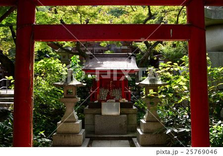 高幡不動尊 稲荷社(2016.10) 高幡不動尊 稲荷社(2016.10) 25769046