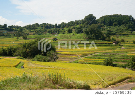 飛鳥風景 25769339