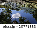 水かがみ 25771333