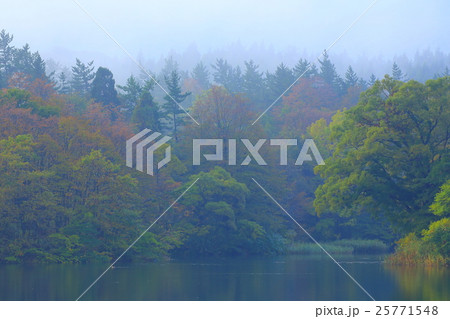 紅葉の大潟溜池 紅葉の大潟溜池 25771548