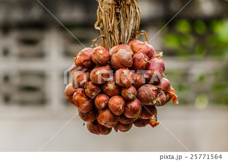 Bunch of onions in a clump  25771564