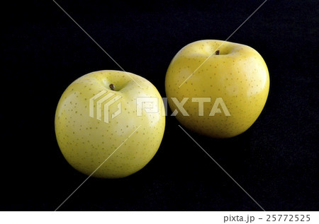 リンゴ（黄王） 25772525