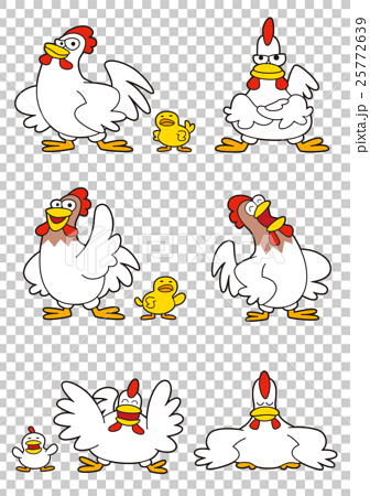 ニワトリ 鶏 キャラクターのイラスト素材