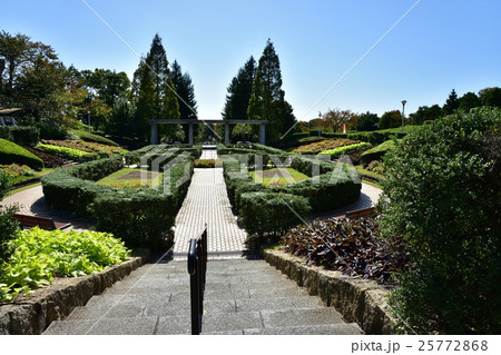 姫路の手柄山中央公園 25772868