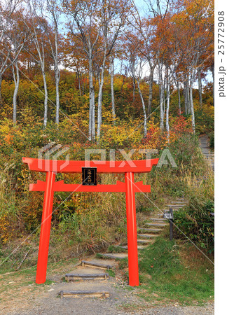 八海山大神、鳥居、神社 八海山大神、鳥居、神社 25772908