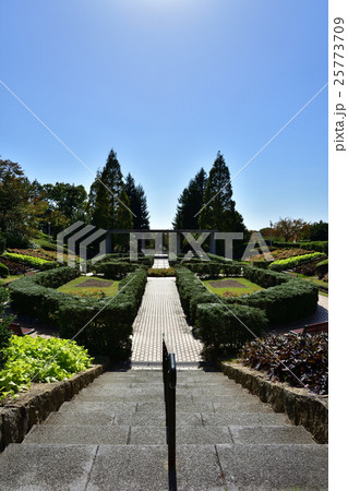 姫路の手柄山中央公園 25773709