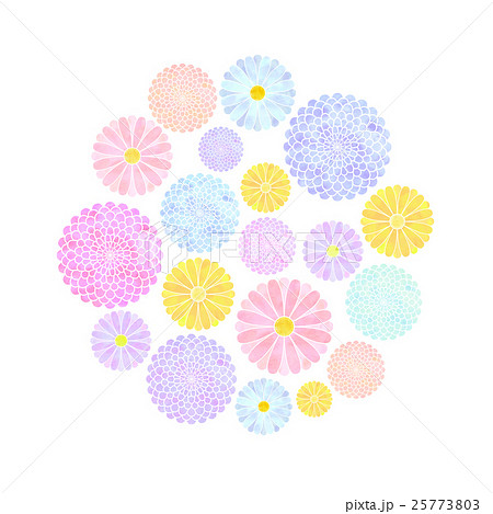 菊のイラスト 円のイラスト素材 25773803 Pixta