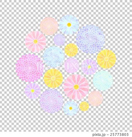菊のイラスト 円のイラスト素材 25773803 Pixta