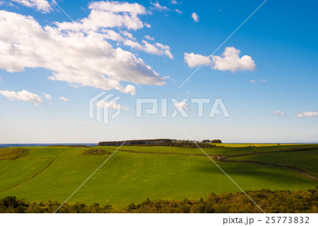 中標津　望洋台 25773832