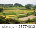 飛鳥風景 25774012