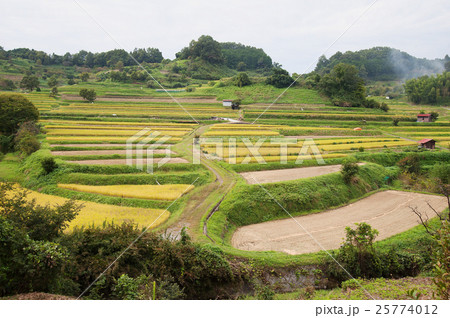 飛鳥風景 飛鳥風景 25774012