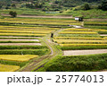 飛鳥風景 25774013