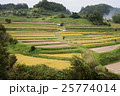 飛鳥風景 25774014