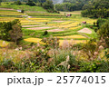 飛鳥風景 25774015