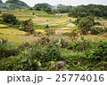 飛鳥風景 25774016