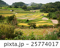 飛鳥風景 25774017
