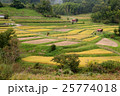 飛鳥風景 25774018
