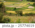 飛鳥風景 25774019