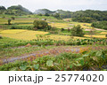 飛鳥風景 25774020