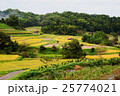 飛鳥風景 25774021