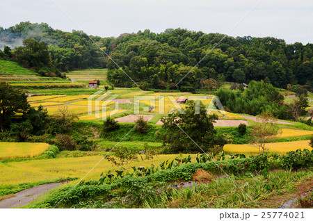飛鳥風景 飛鳥風景 25774021