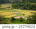 飛鳥風景 25774022