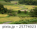 飛鳥風景 25774023