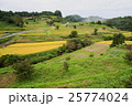 飛鳥風景 25774024