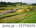 飛鳥風景 25774026
