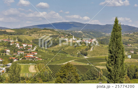 Dobrovo landscape in Slovenia. Dobrovo landscape in Slovenia. 25774200