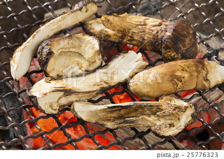 焼き松茸 25776323