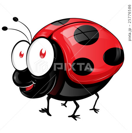 ladybug cartoon isolated on white background ladybug cartoon isolated on white background 25776586
