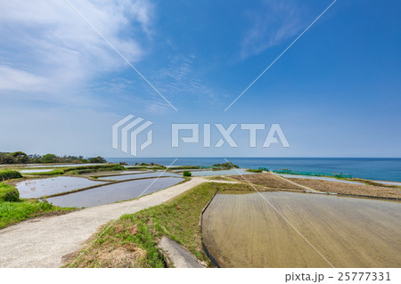 袖志の棚田 袖志の棚田 25777331