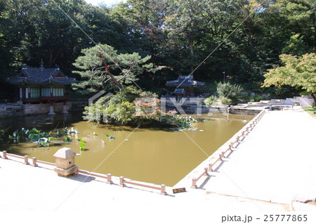 昌徳宮の芙蓉池 25777865