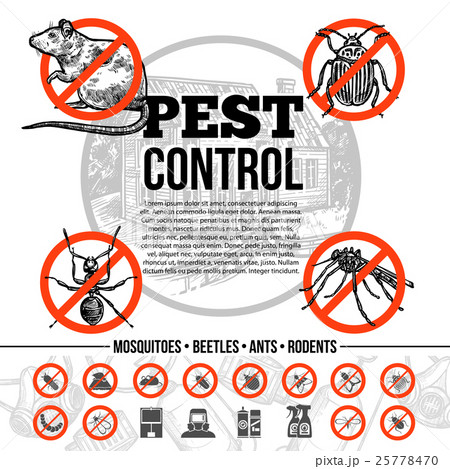 Pest Control Infographics 25778470