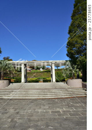 姫路の手柄山中央公園 25778665