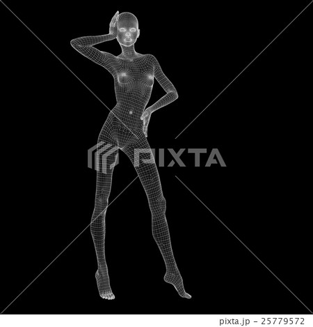 女性の体　ワイヤーフレーム　perming3DCG　イラスト素材　素材 25779572