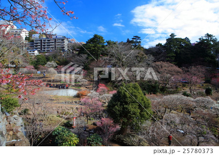 熱海梅園 25780373