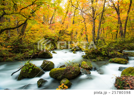 奥入瀬渓流の紅葉 九十九島 奥入瀬渓流の紅葉 九十九島 25780398
