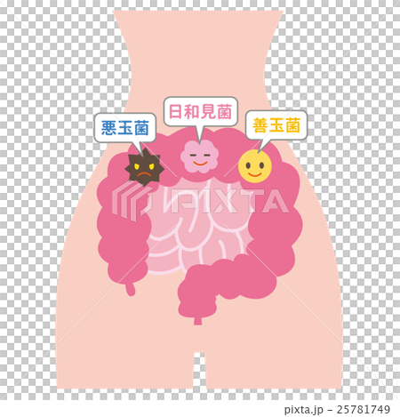 腸内細菌 腸内細菌 25781749