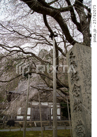 常照皇寺、開山堂怡雲庵と名木たち 常照皇寺、開山堂怡雲庵と名木たち 25782075