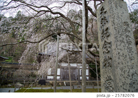常照皇寺、開山堂怡雲庵と名木たち 常照皇寺、開山堂怡雲庵と名木たち 25782076