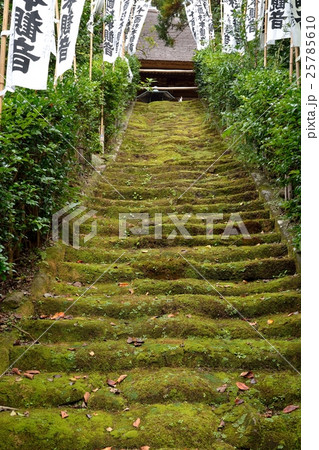 杉本寺　苔むした階段 25785610