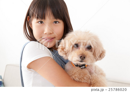 トイプードルと小学生の写真素材